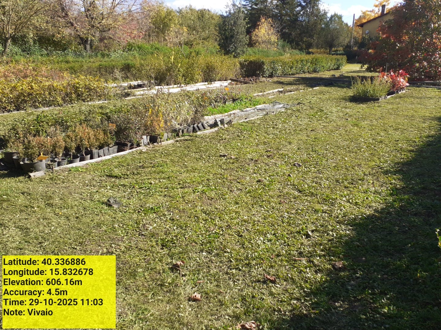 Galleria Fotografica Immagine