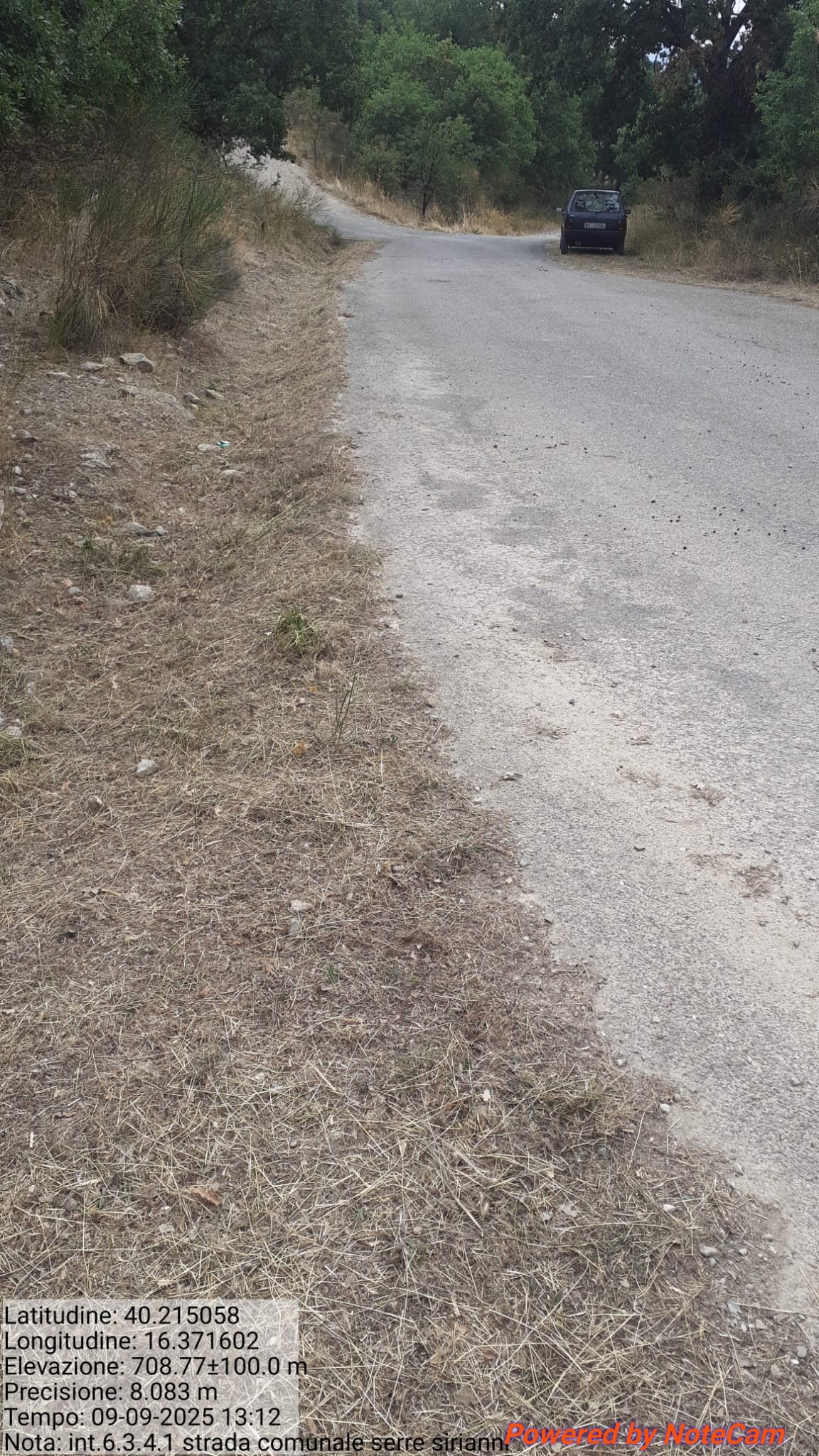 Galleria Fotografica Immagine