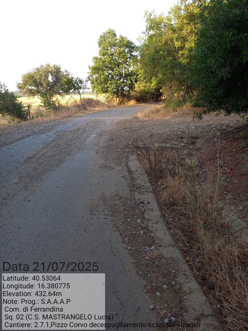 Galleria Fotografica Immagine