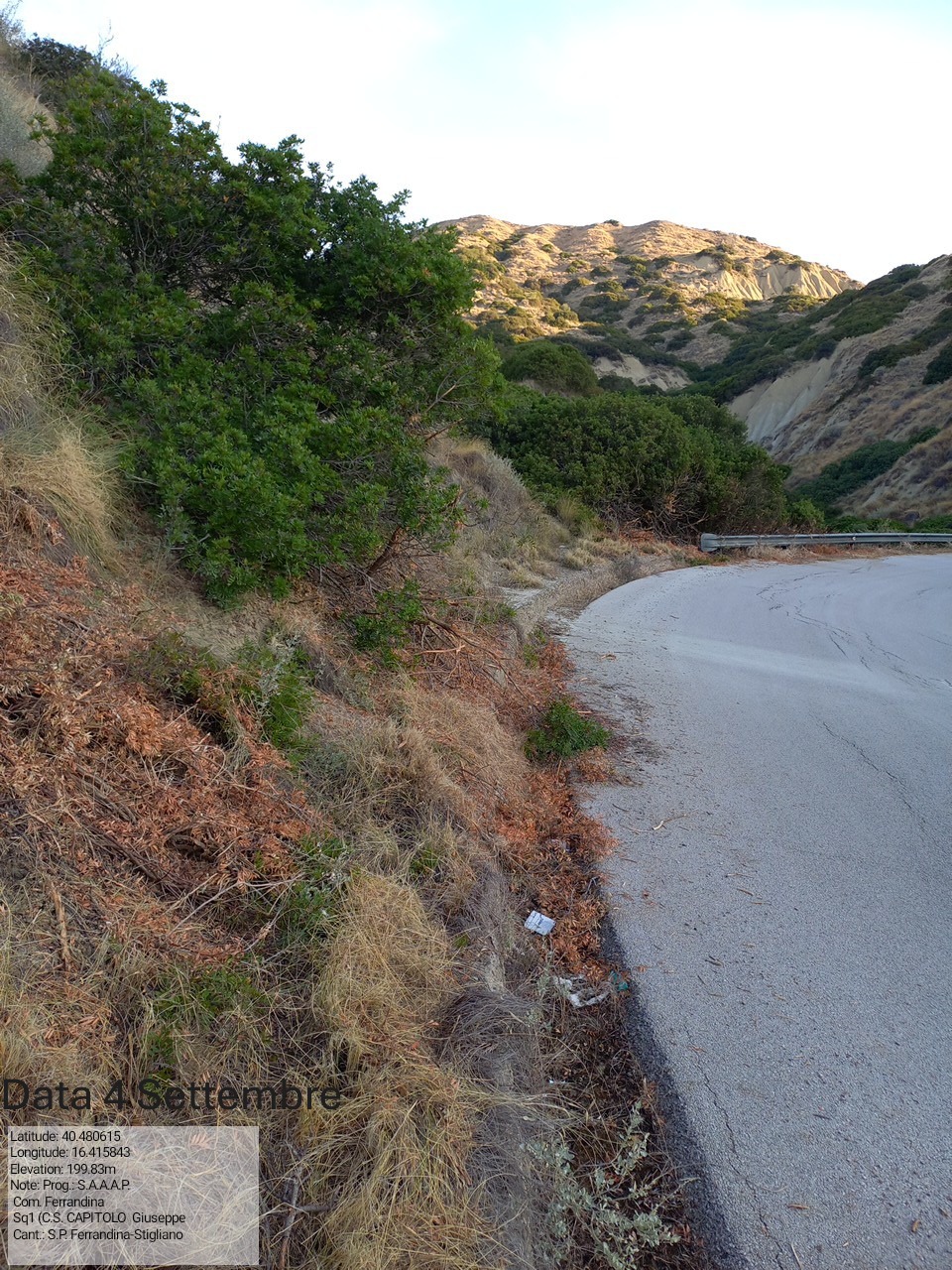 Galleria Fotografica Immagine