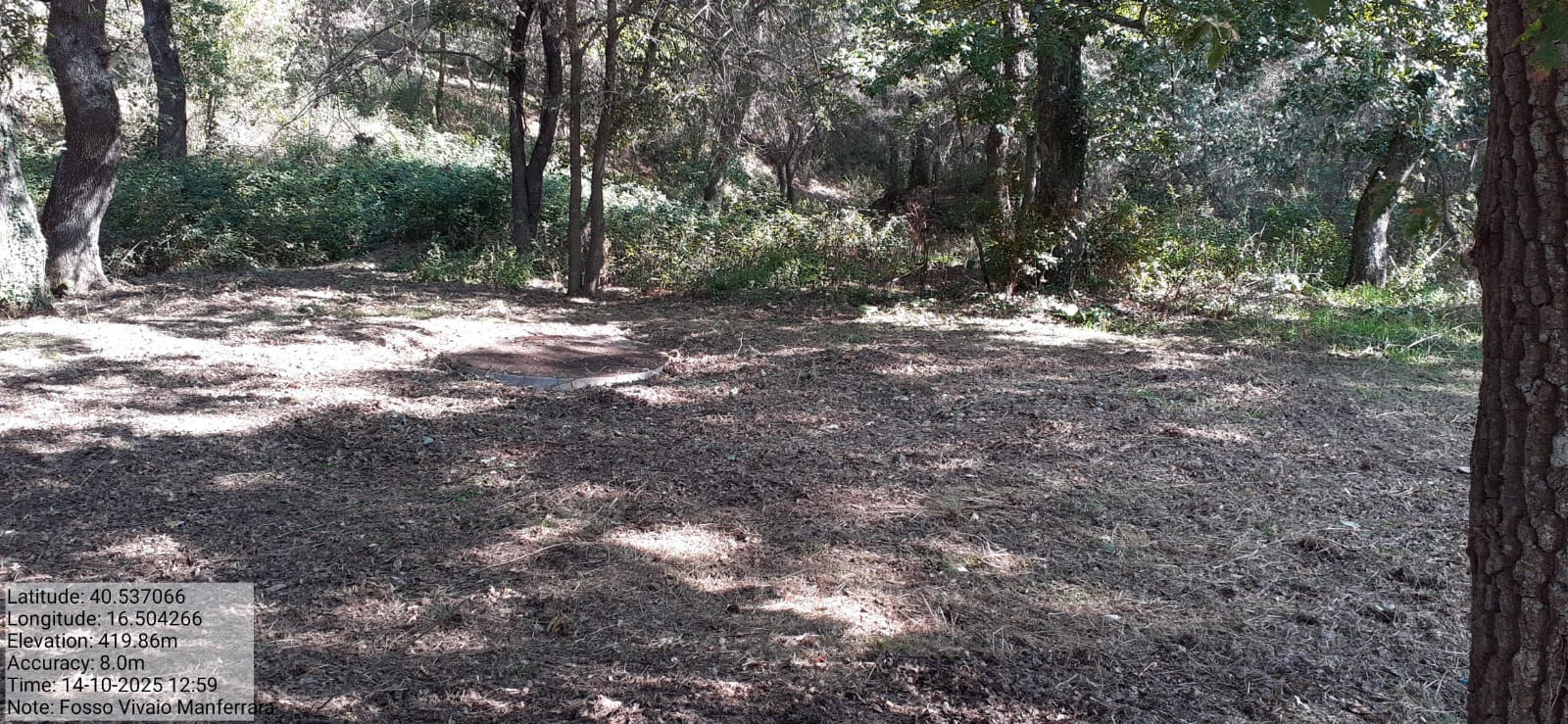 Galleria Fotografica Immagine