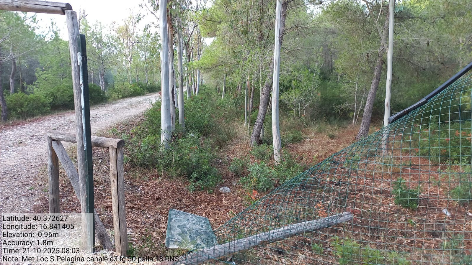 Galleria Fotografica Immagine