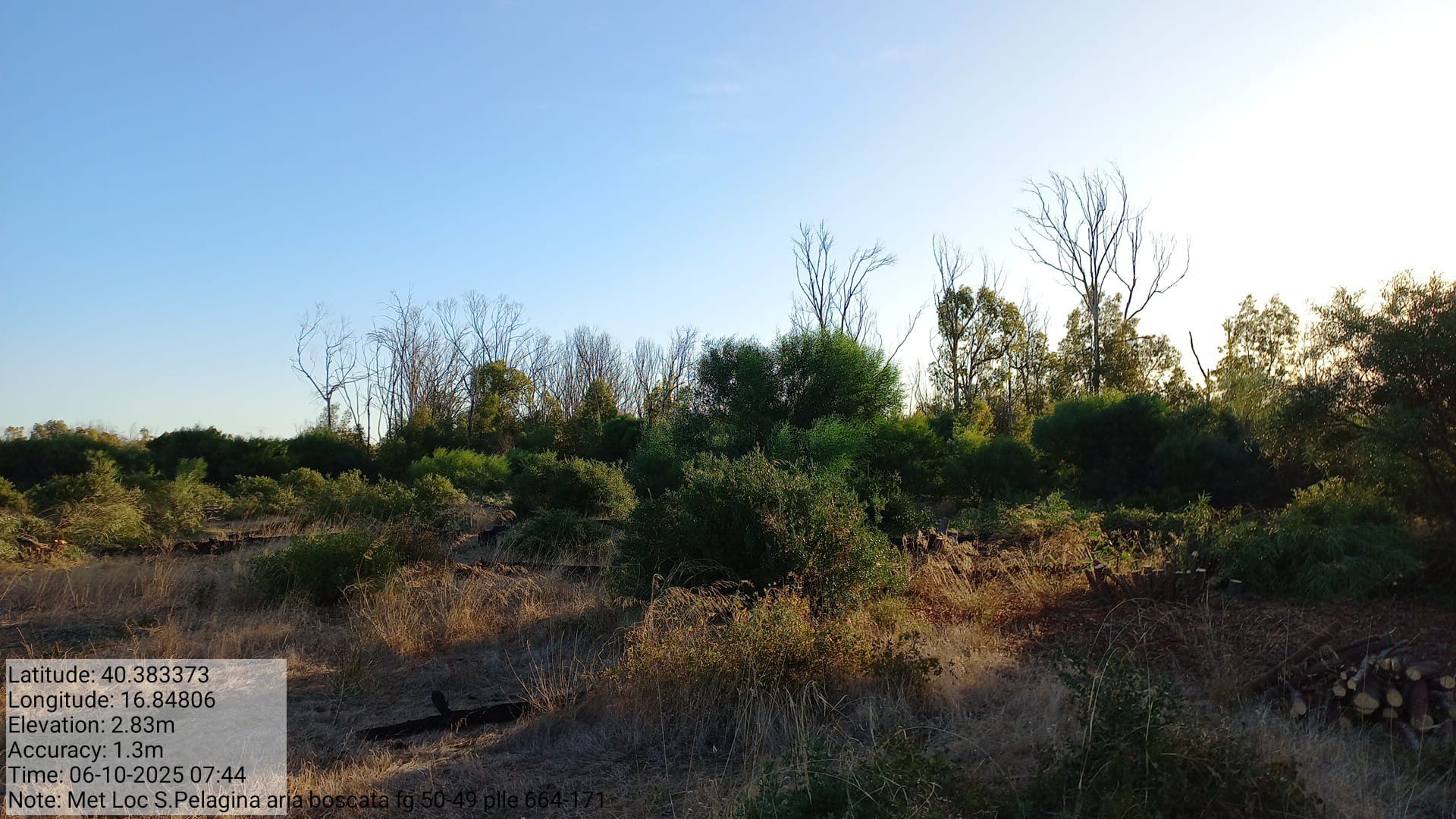 Galleria Fotografica Immagine