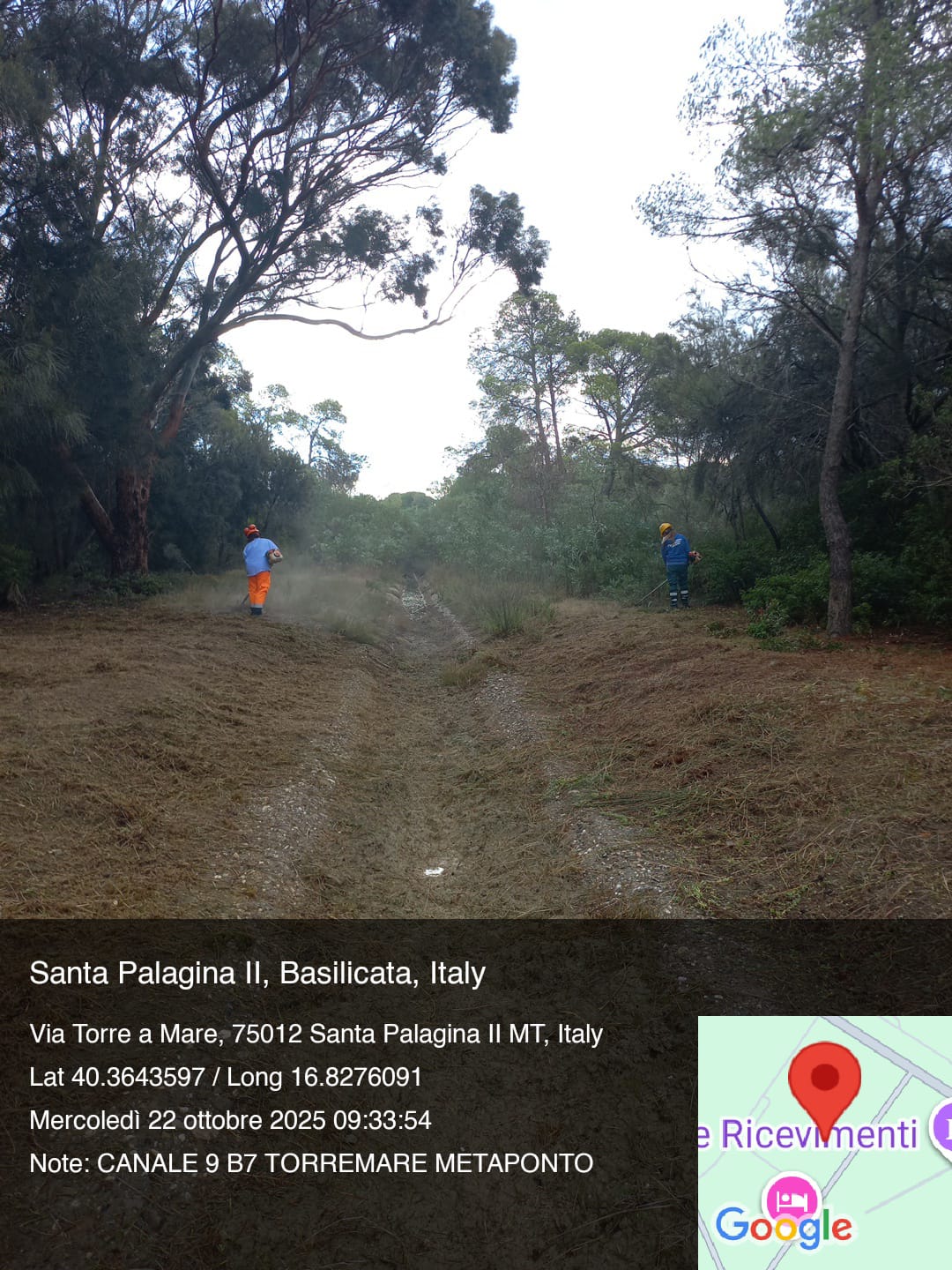 Galleria Fotografica Immagine