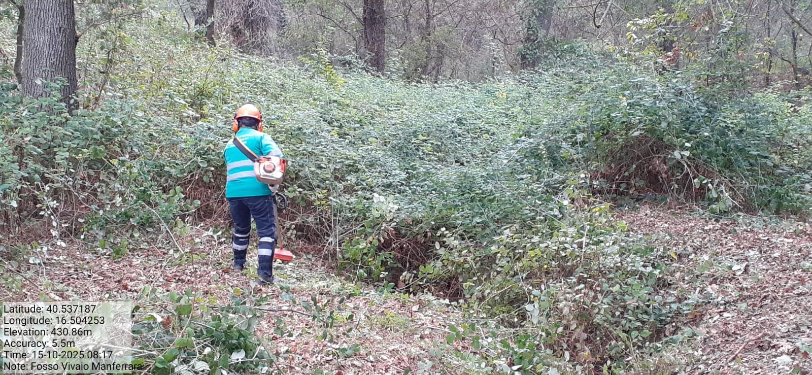 Galleria Fotografica Immagine