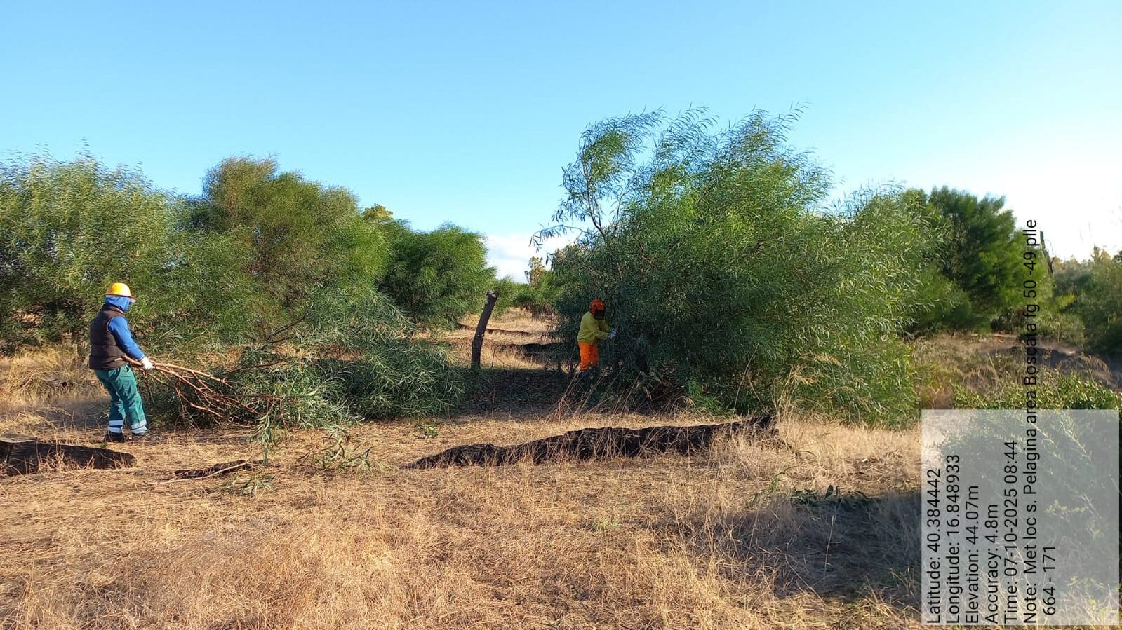 Galleria Fotografica Immagine