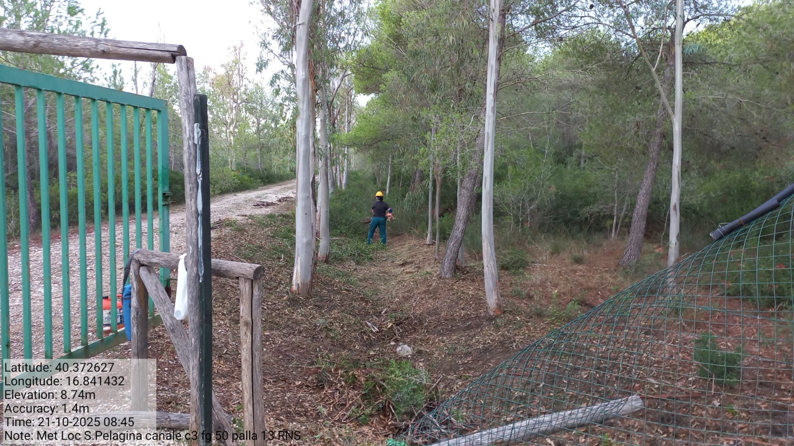 Galleria Fotografica Immagine