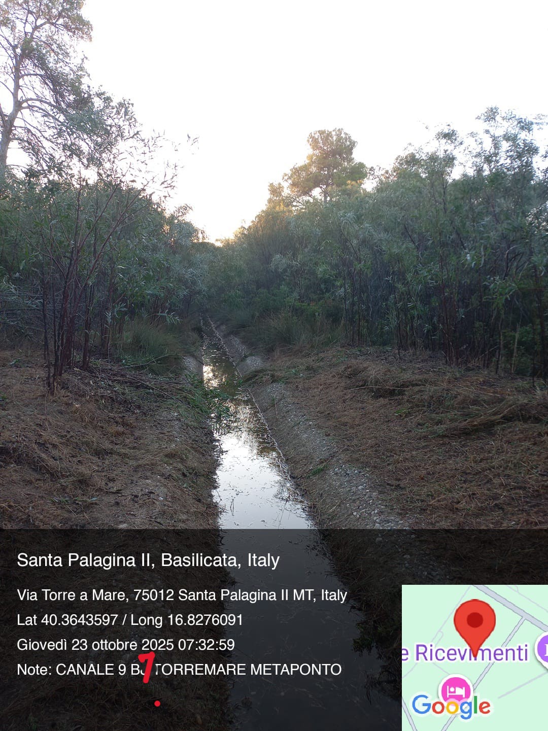 Galleria Fotografica Immagine