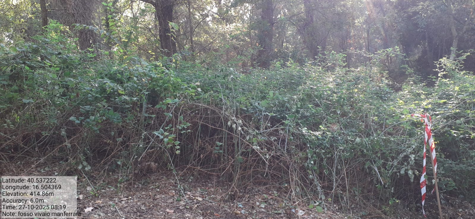 Galleria Fotografica Immagine