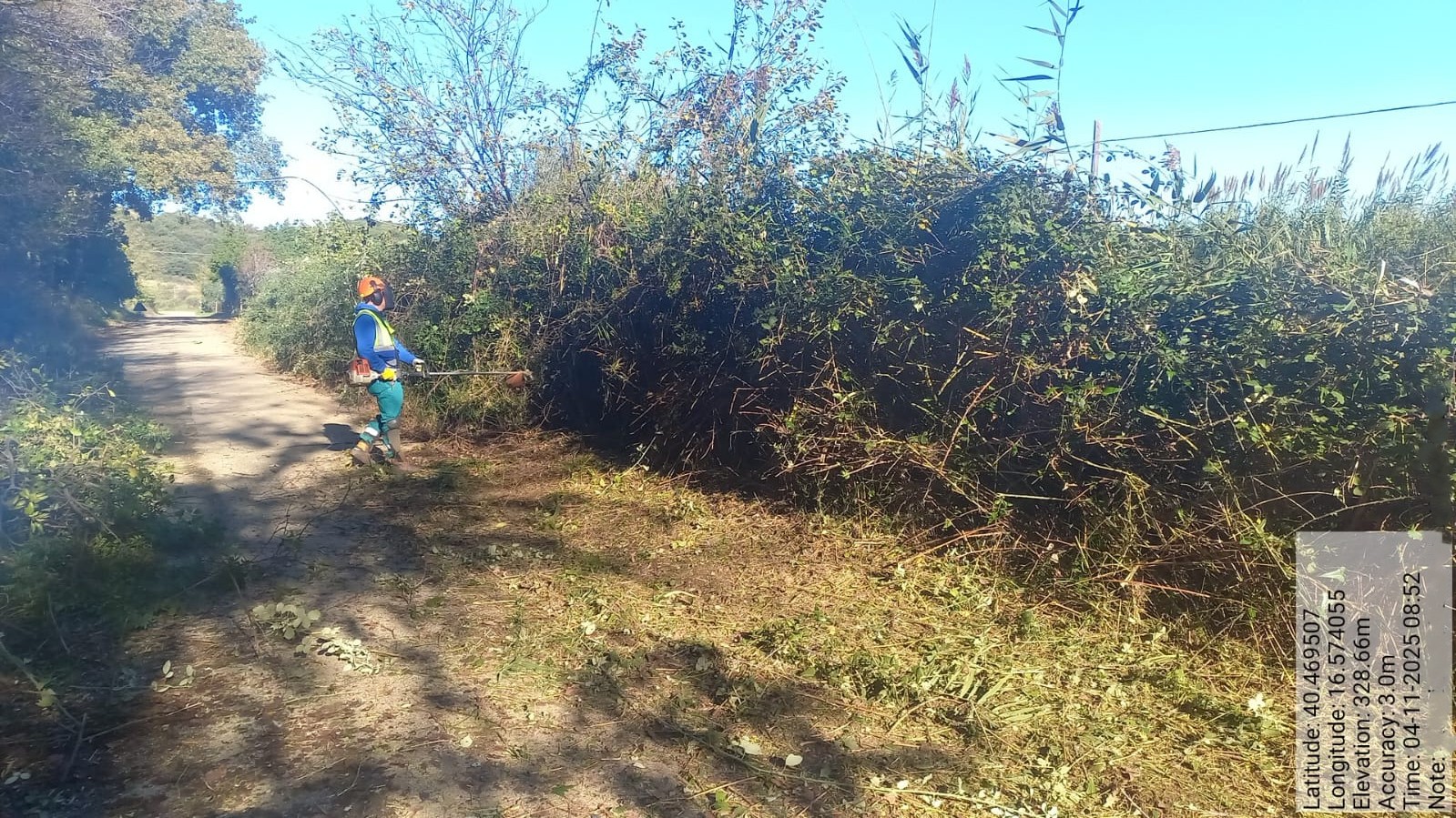 Galleria Fotografica Immagine