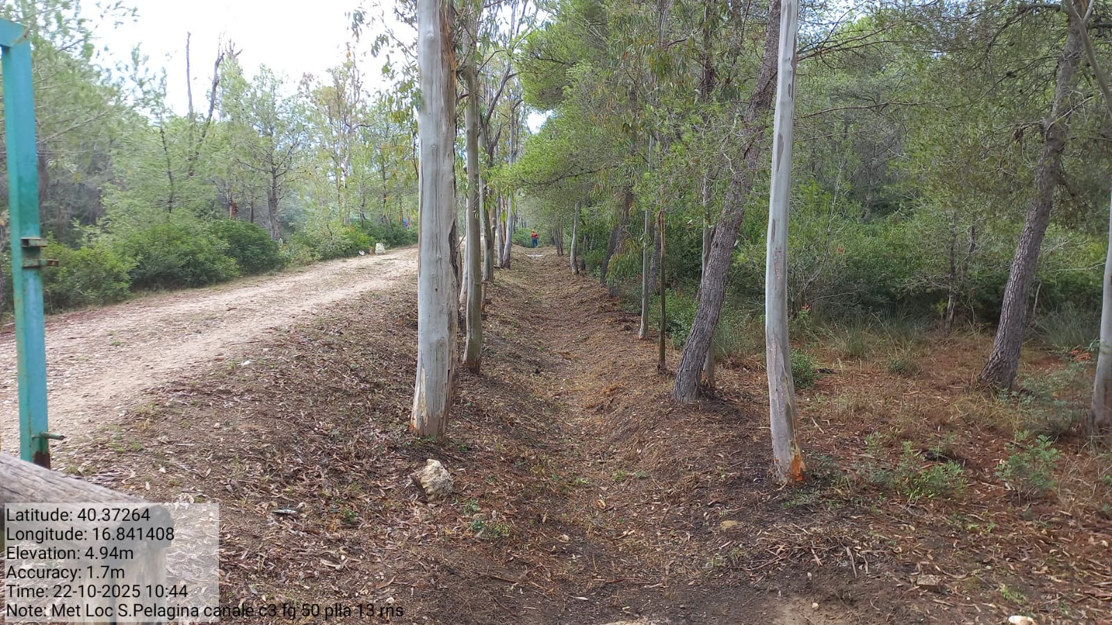 Galleria Fotografica Immagine