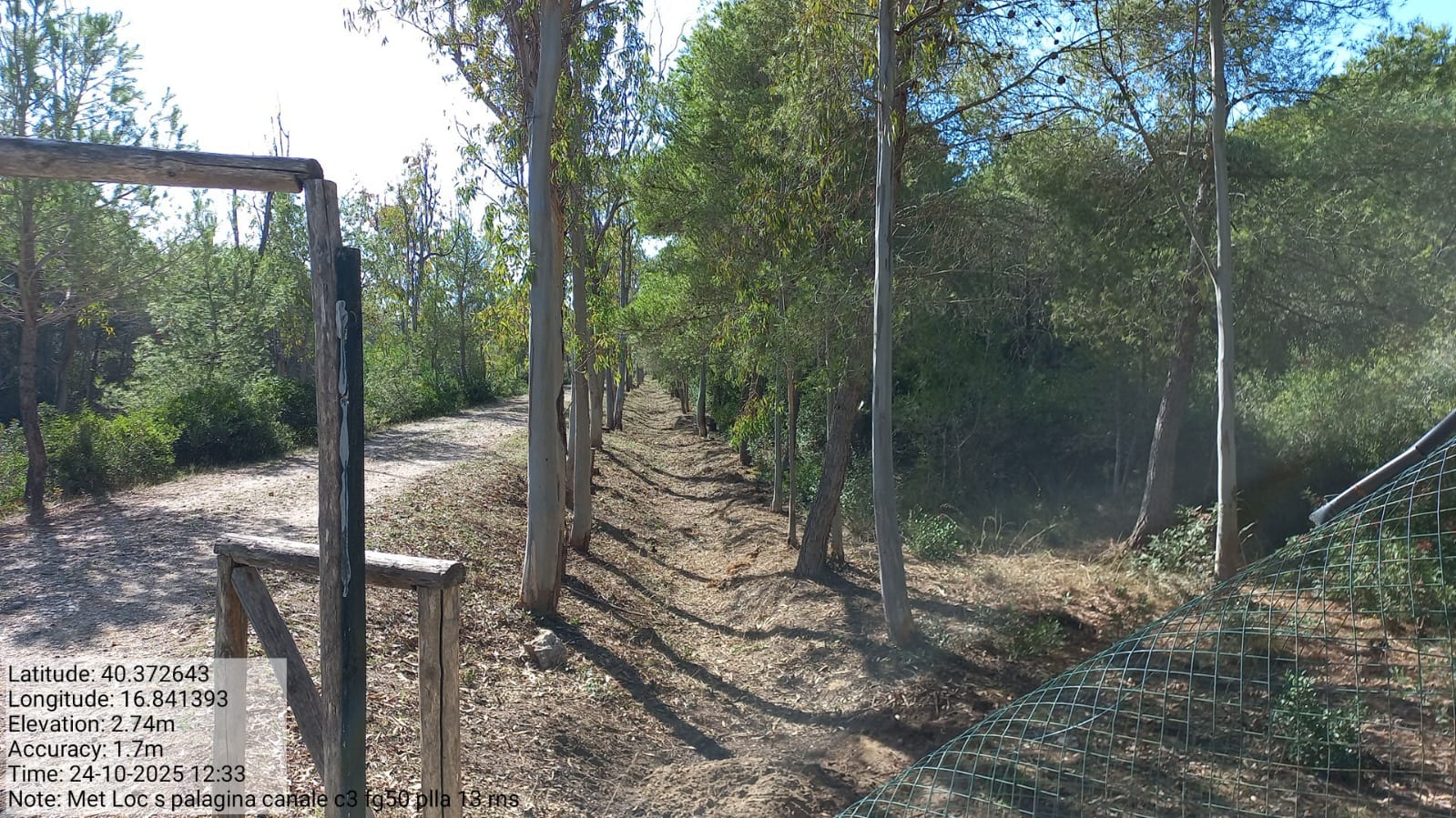 Galleria Fotografica Immagine