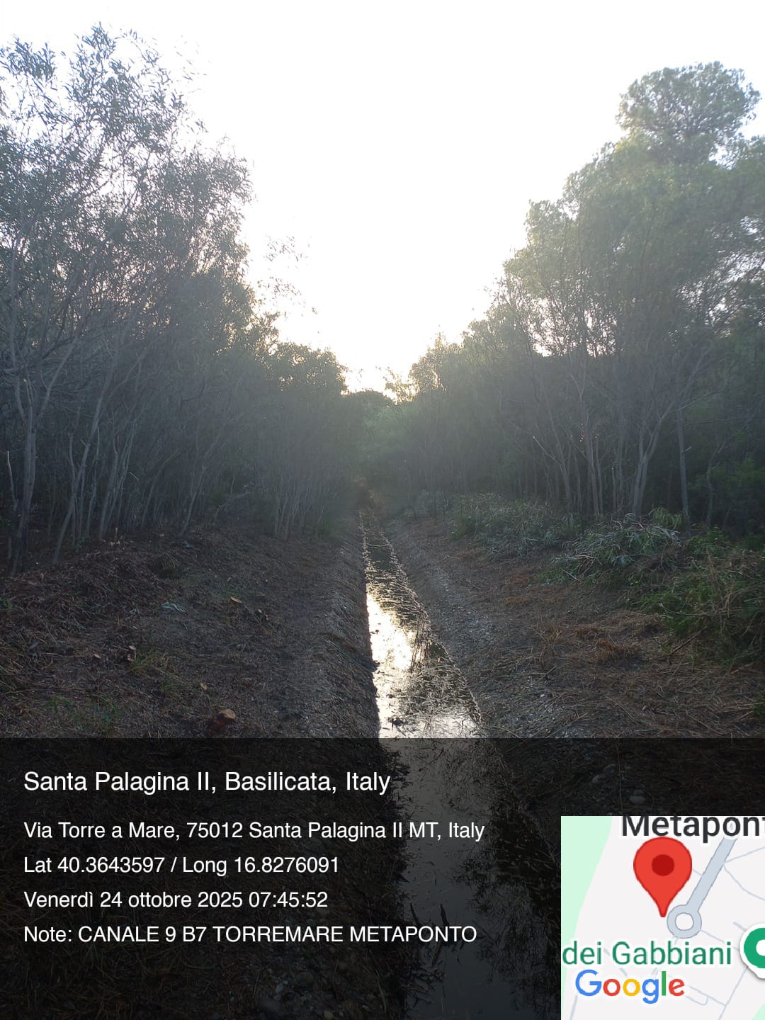 Galleria Fotografica Immagine