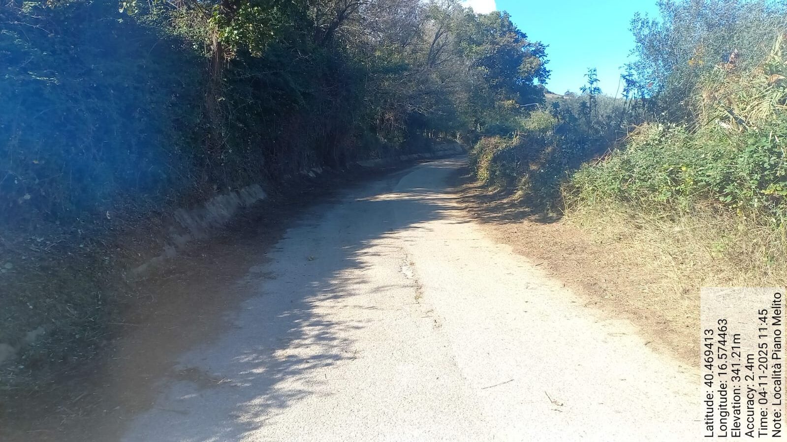 Galleria Fotografica Immagine