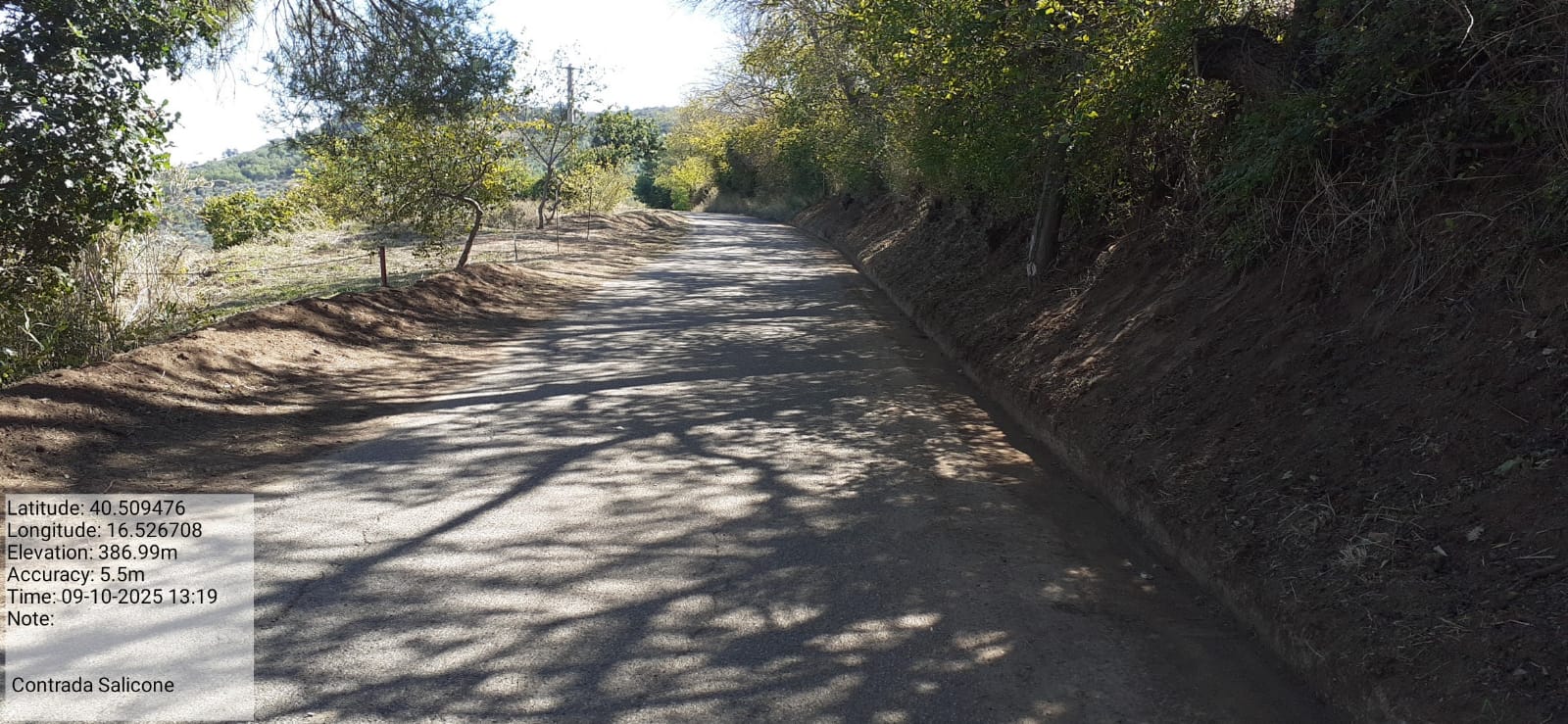 Galleria Fotografica Immagine