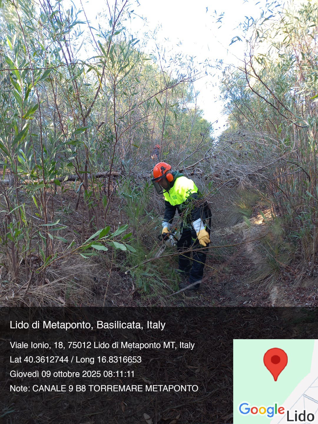 Galleria Fotografica Immagine