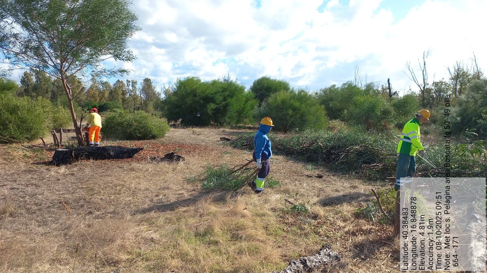 Galleria Fotografica Immagine