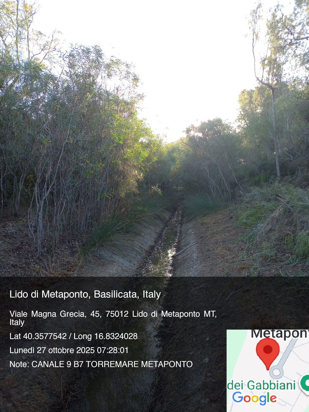 Galleria Fotografica Immagine