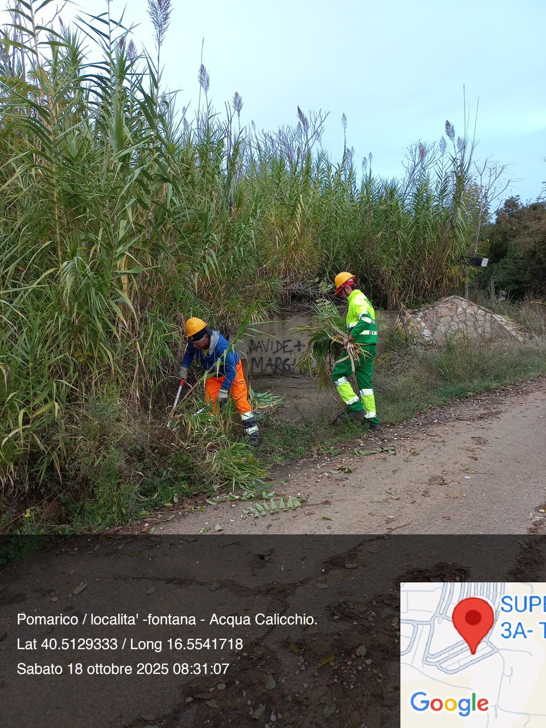 Galleria Fotografica Immagine