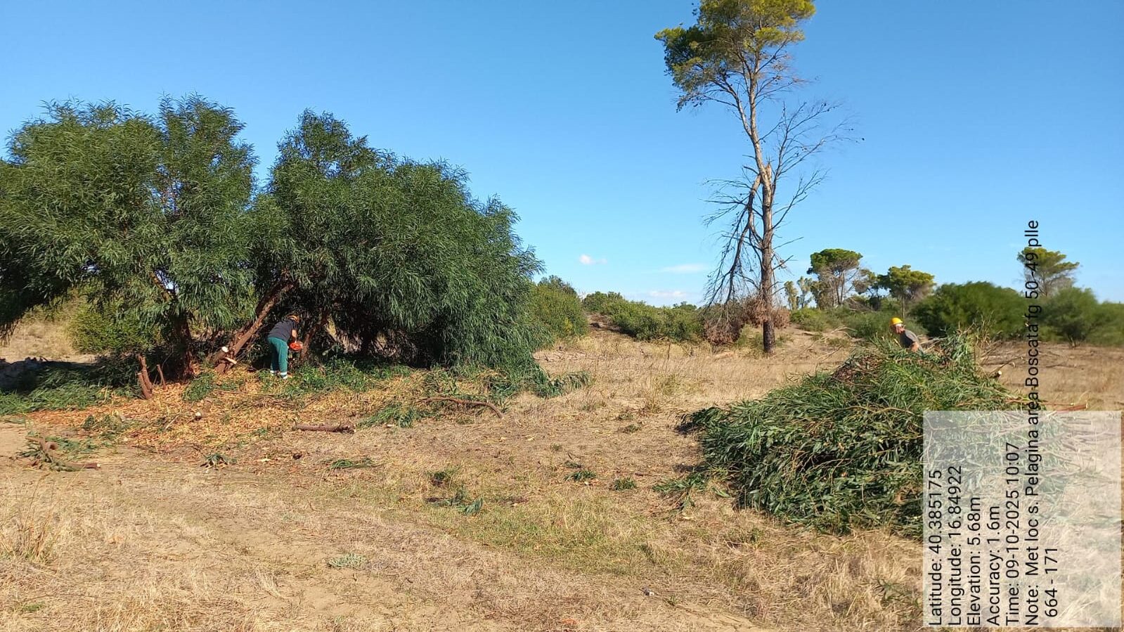 Galleria Fotografica Immagine