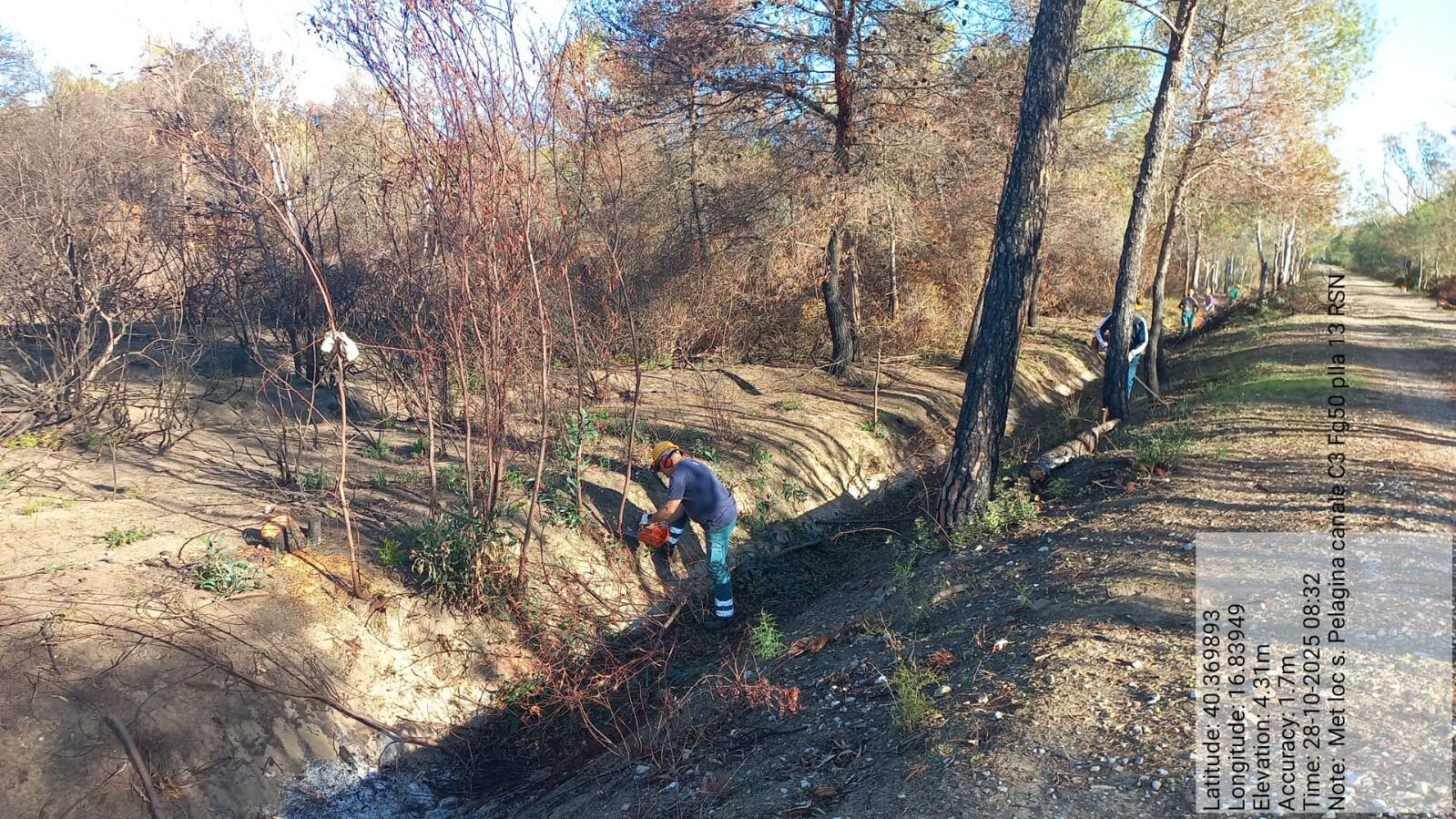 Galleria Fotografica Immagine