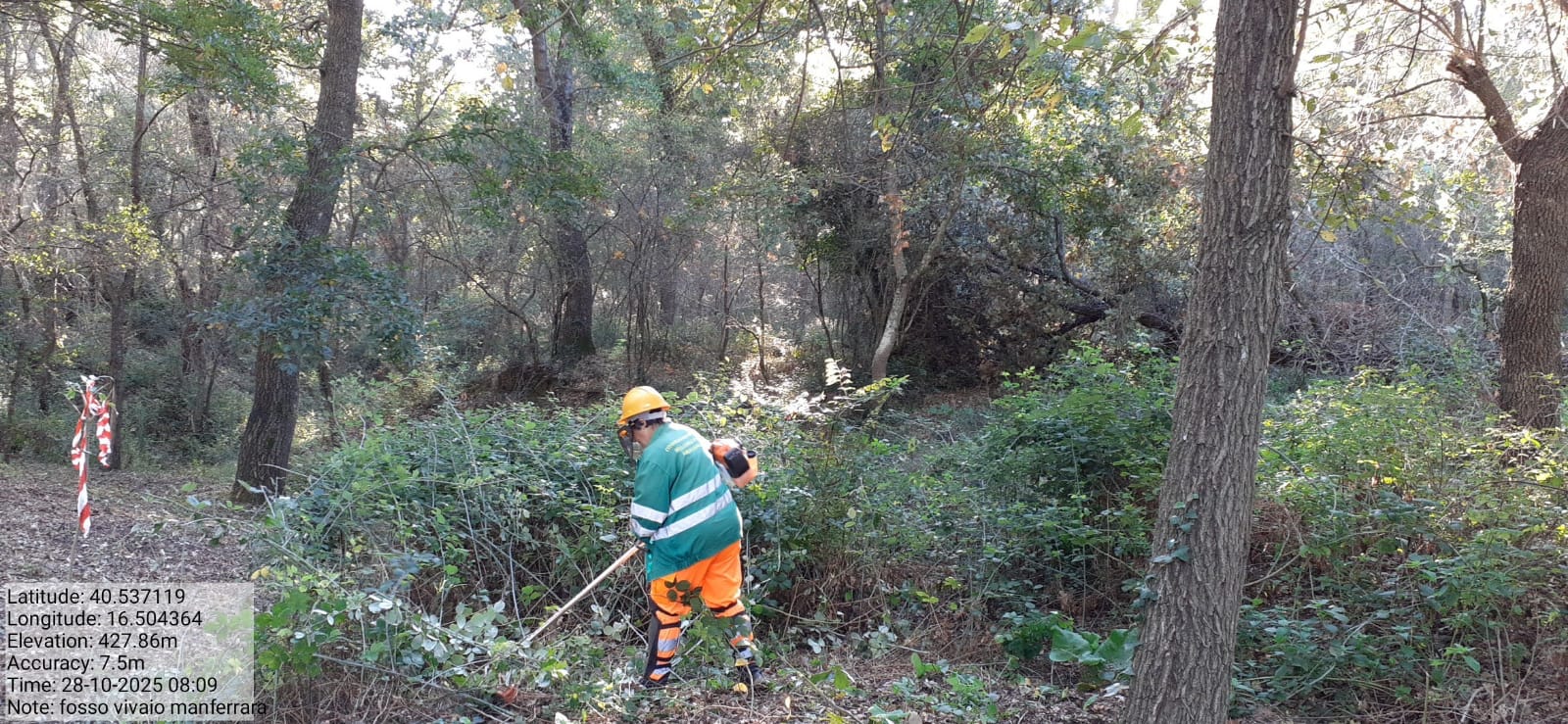 Galleria Fotografica Immagine