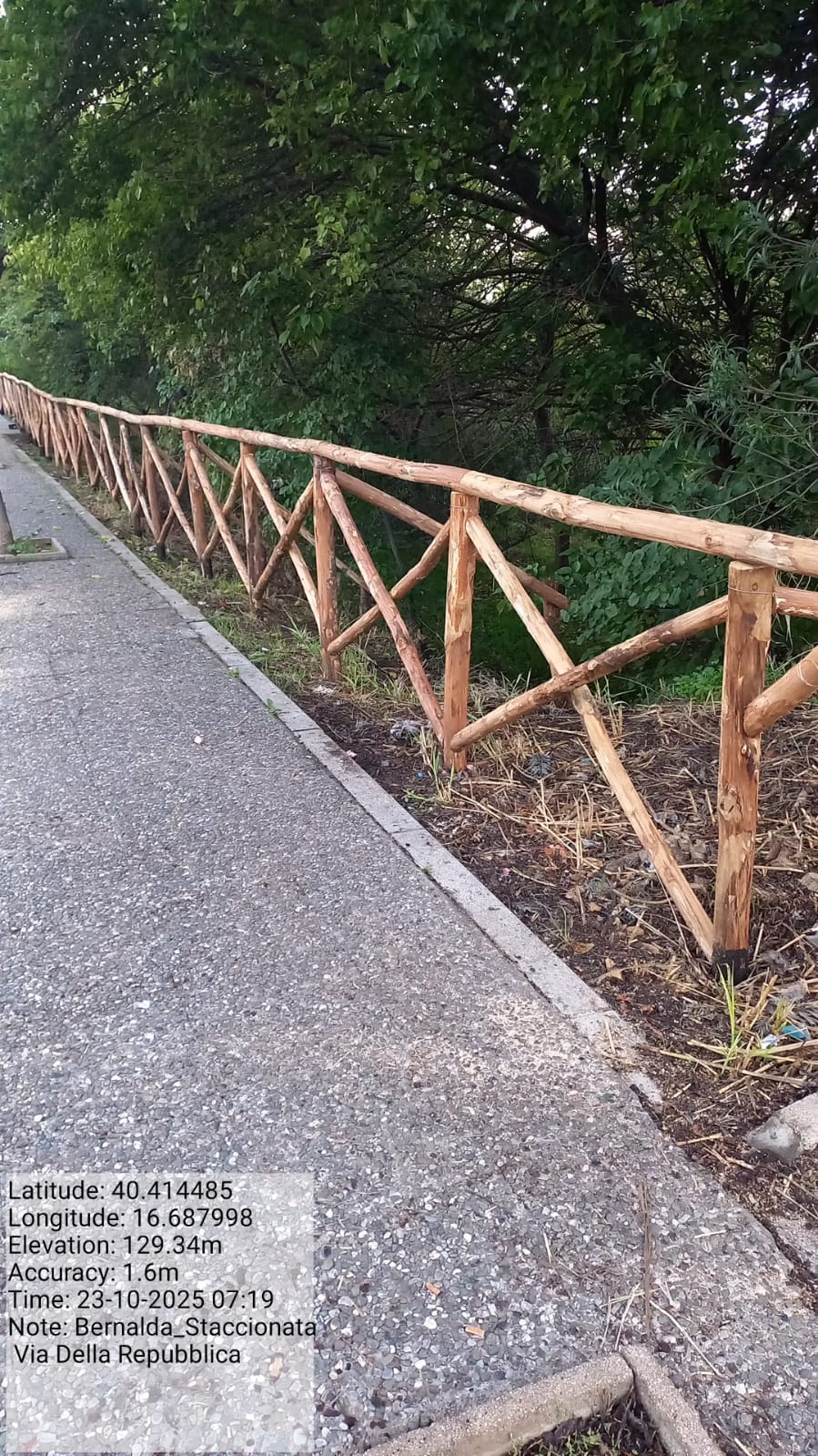 Galleria Fotografica Immagine