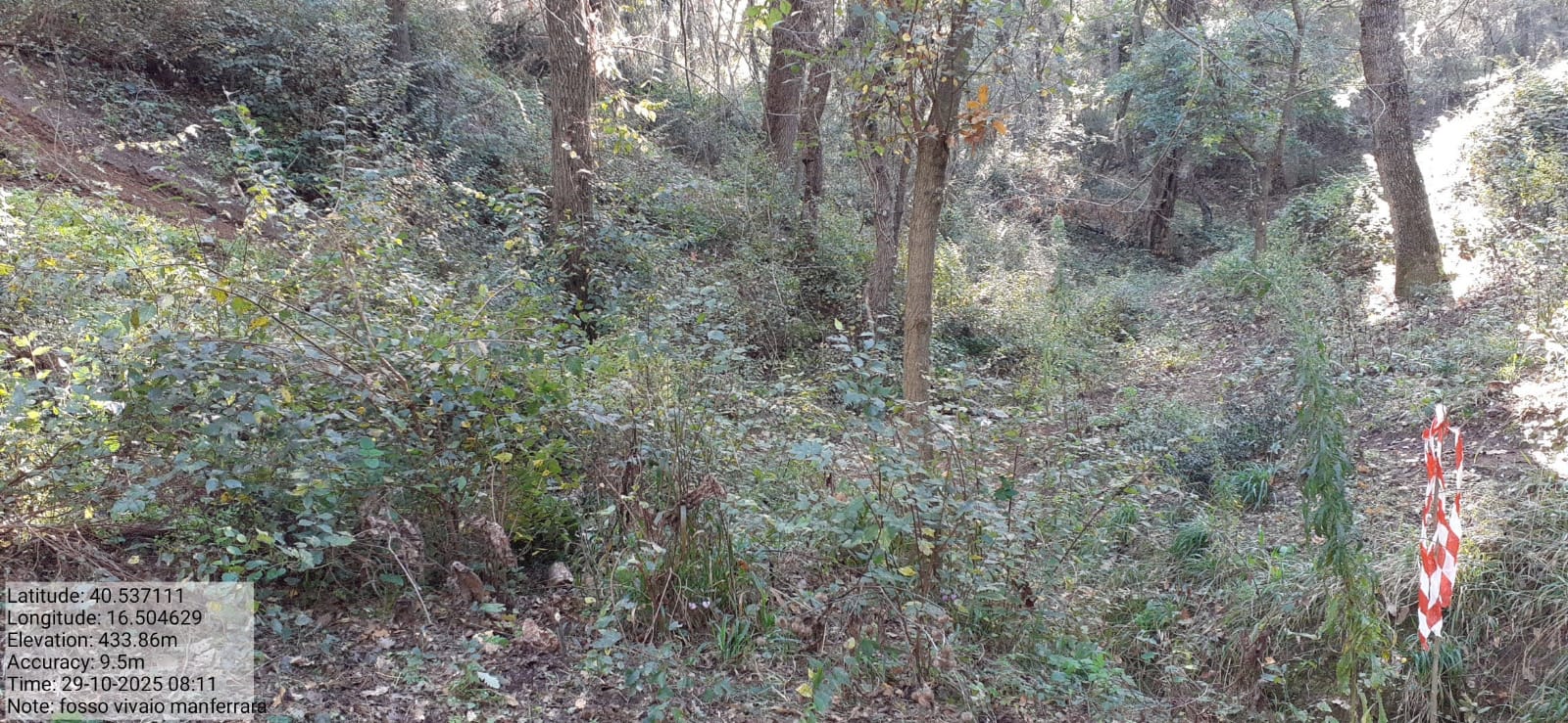 Galleria Fotografica Immagine