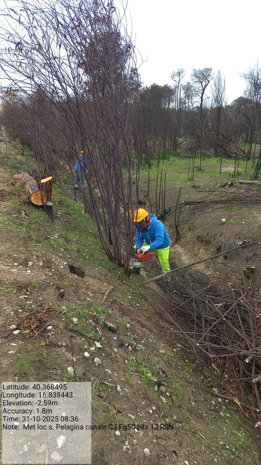 Galleria Fotografica Immagine