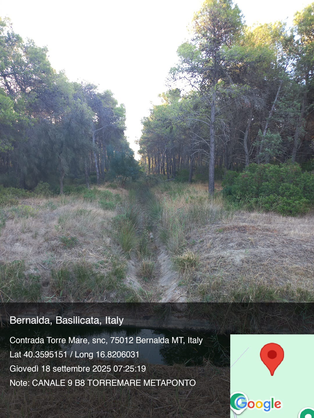 Galleria Fotografica Immagine