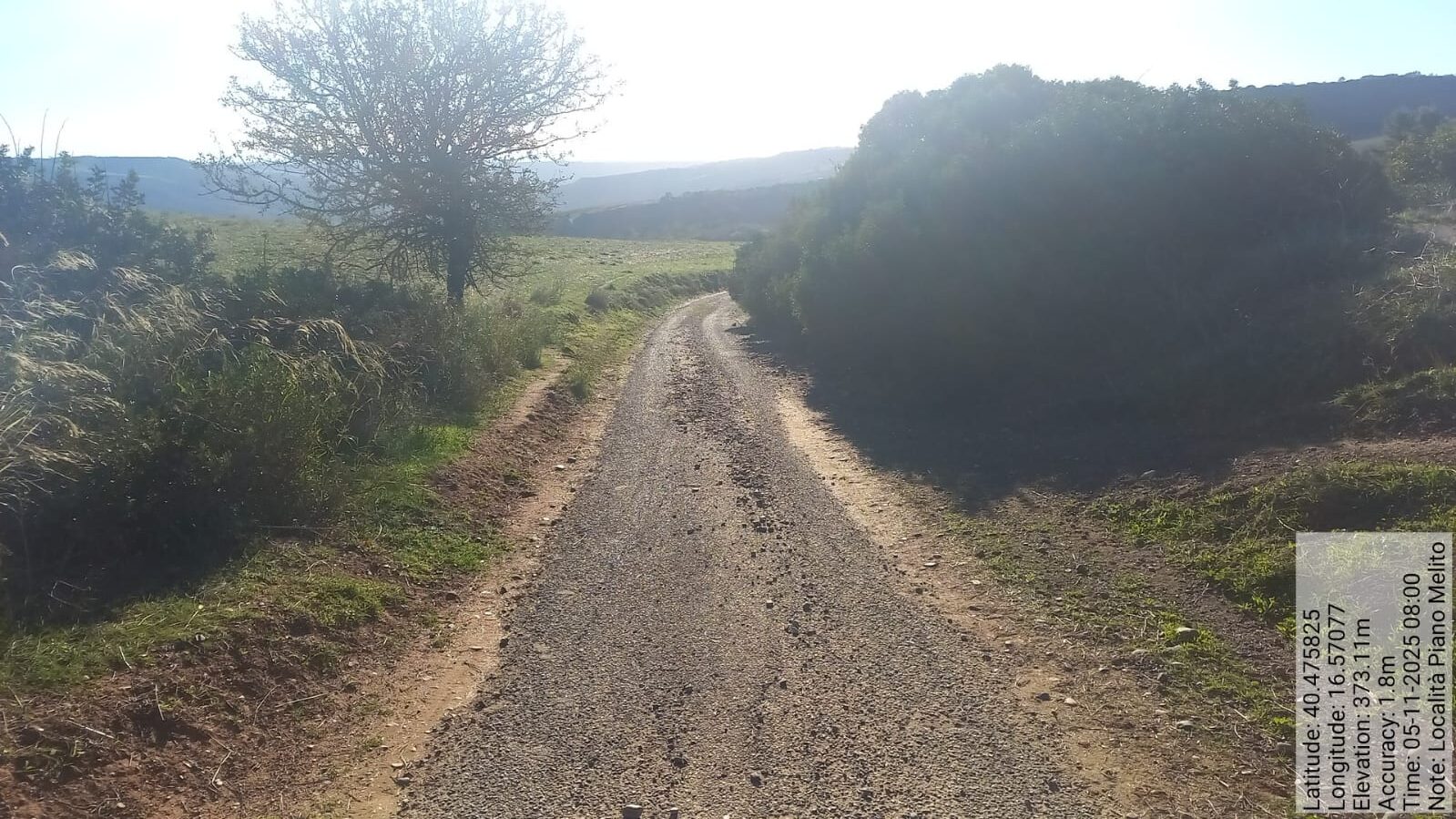 Galleria Fotografica Immagine