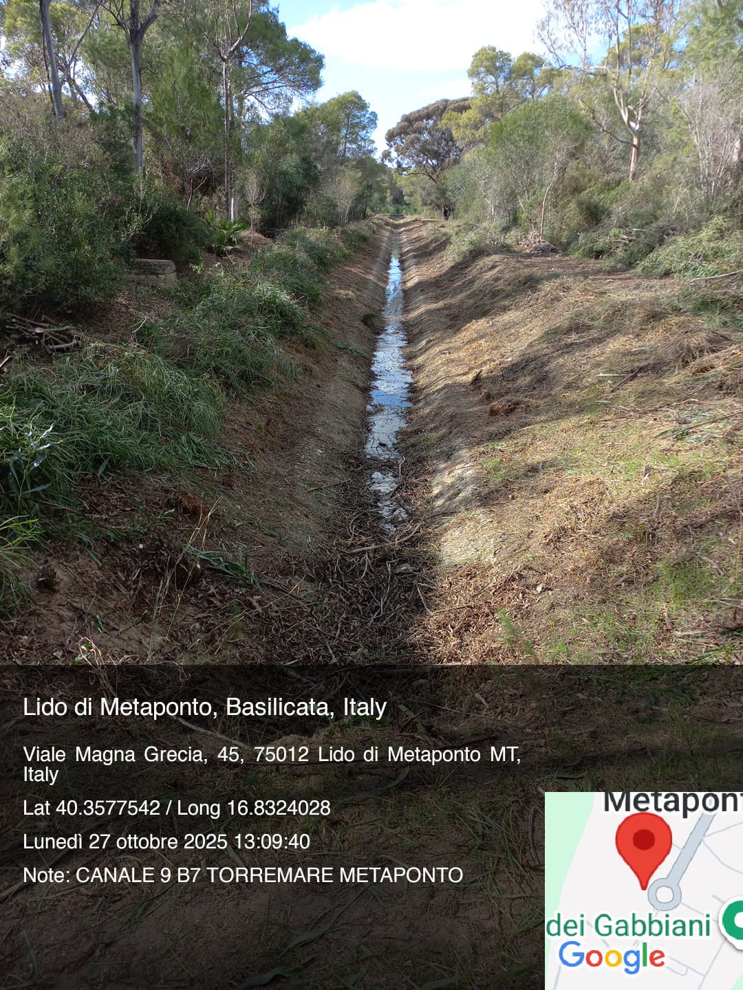 Galleria Fotografica Immagine