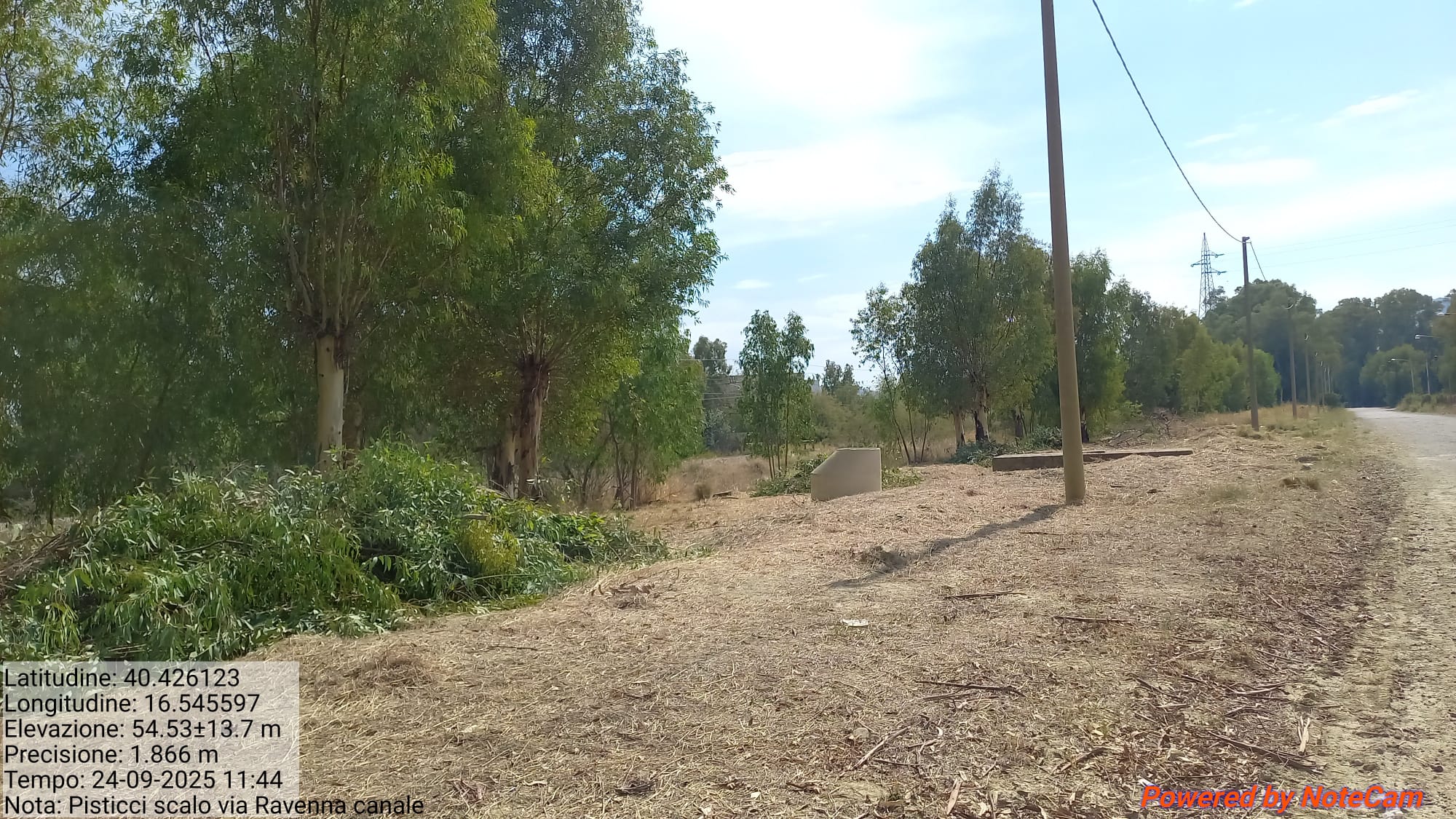 Galleria Fotografica Immagine