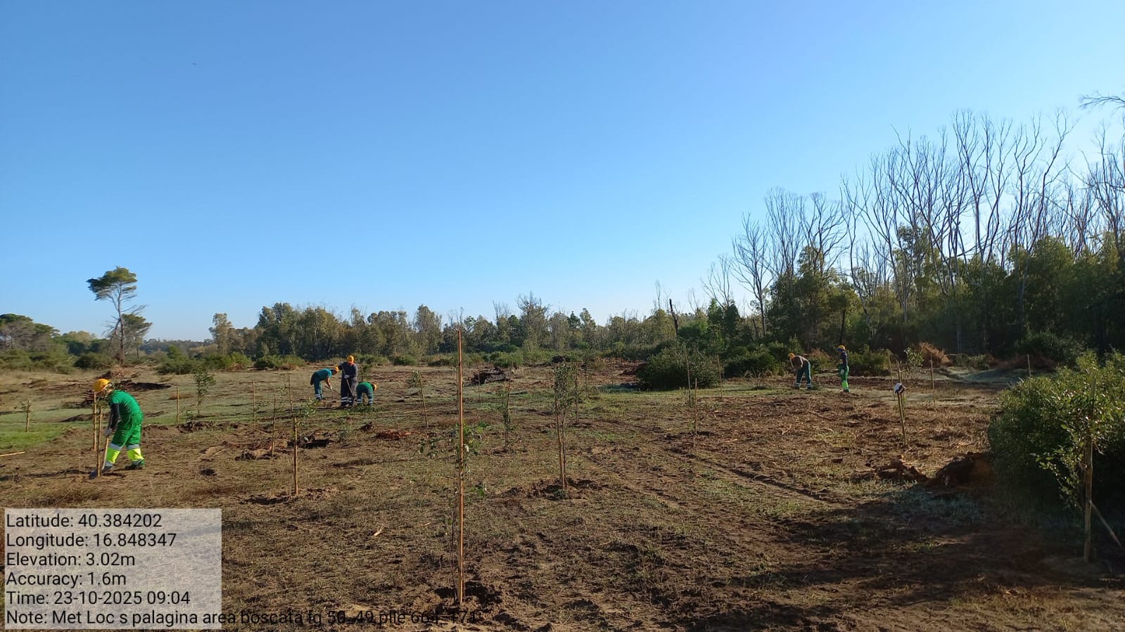 Galleria Fotografica Immagine