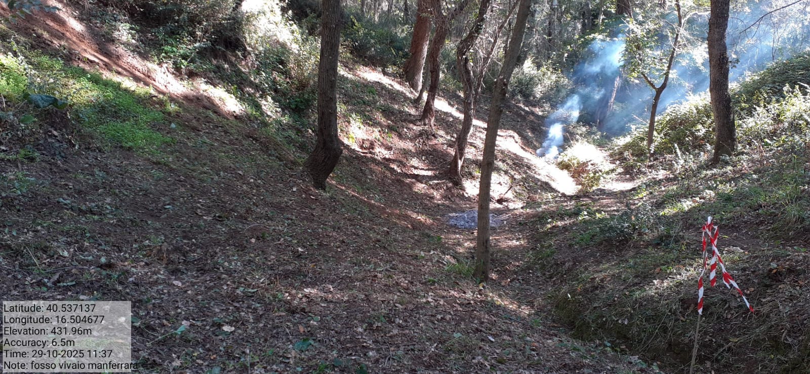 Galleria Fotografica Immagine