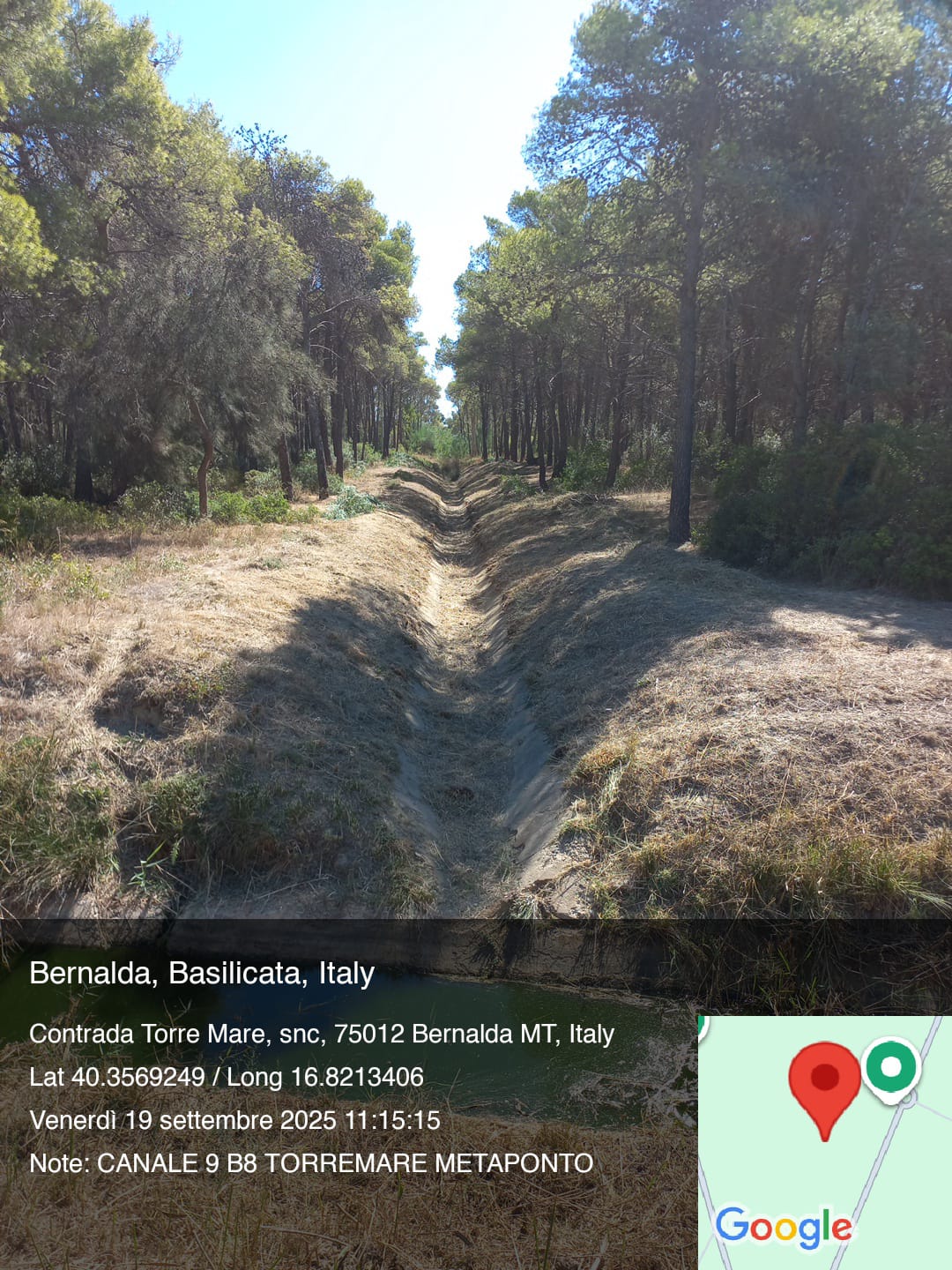 Galleria Fotografica Immagine