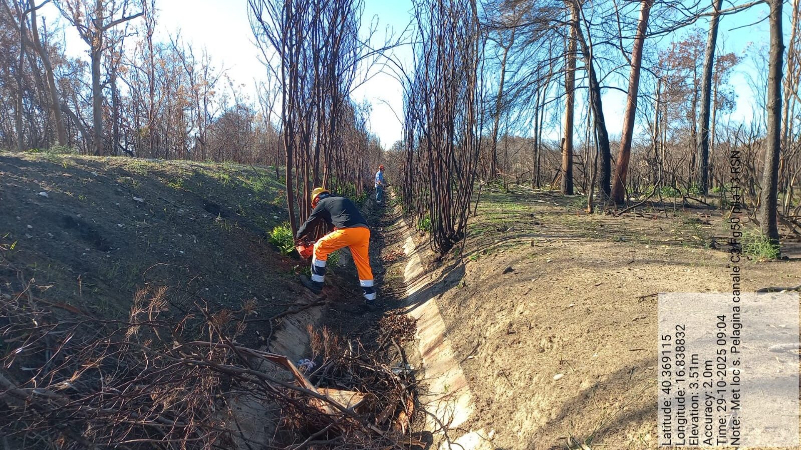 Galleria Fotografica Immagine