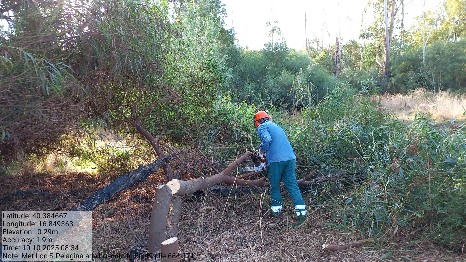 Galleria Fotografica Immagine
