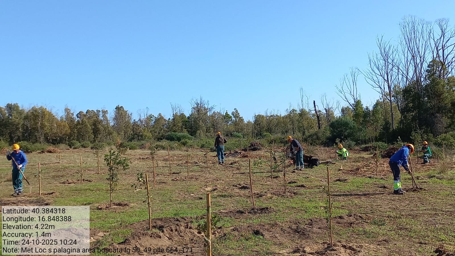 Galleria Fotografica Immagine
