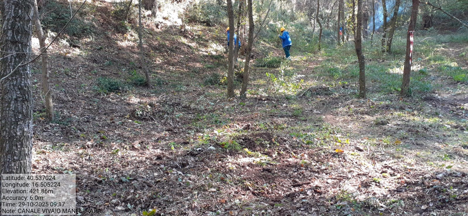 Galleria Fotografica Immagine