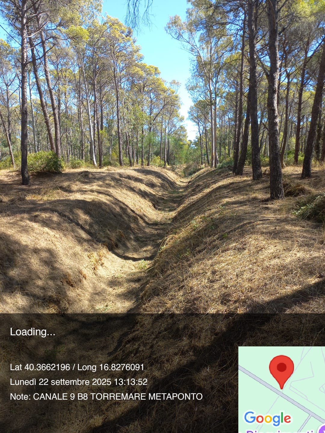 Galleria Fotografica Immagine