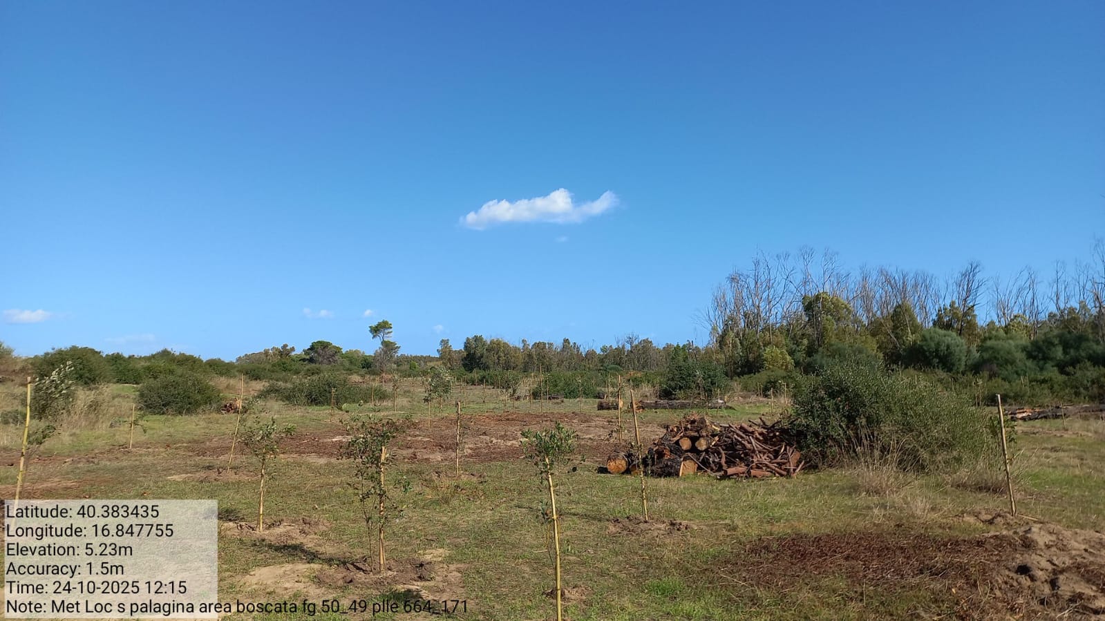 Galleria Fotografica Immagine