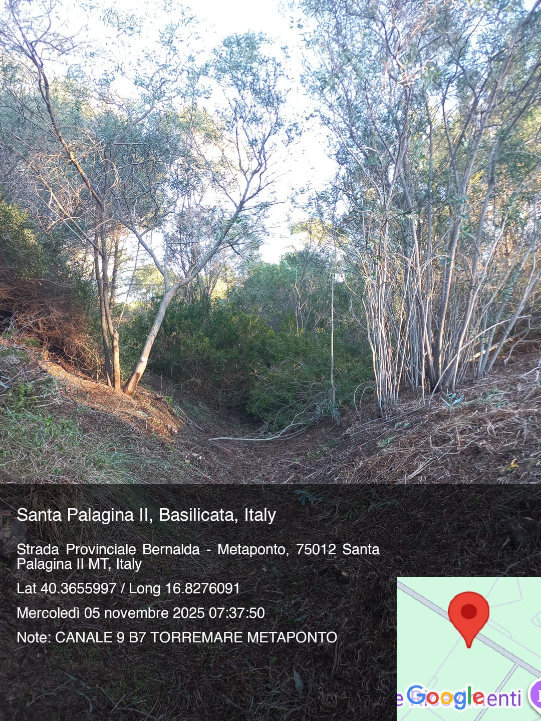 Galleria Fotografica Immagine