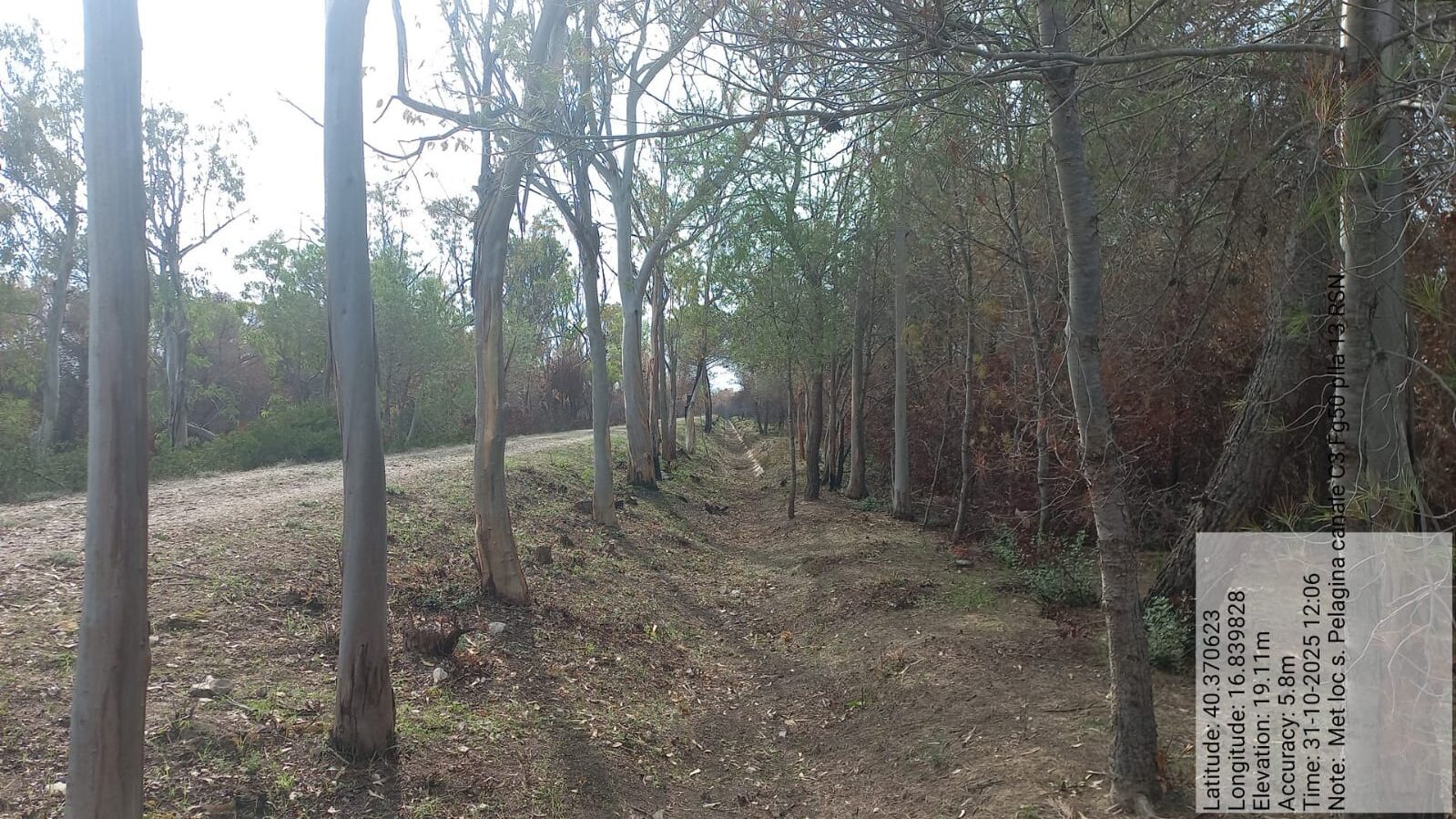 Galleria Fotografica Immagine