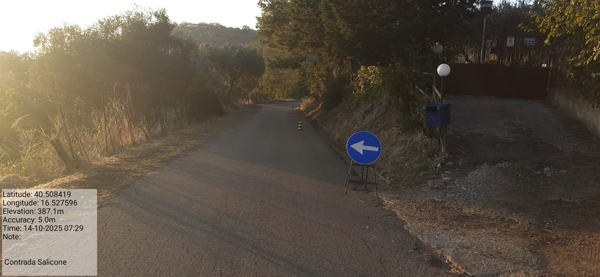 Galleria Fotografica Immagine