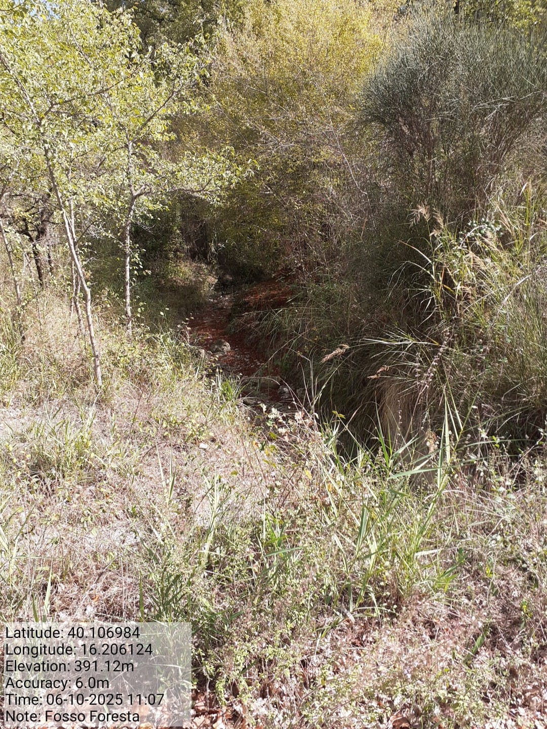 Galleria Fotografica Immagine