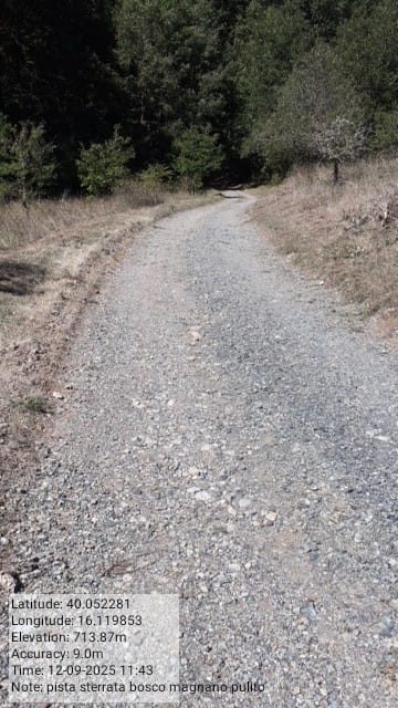 Galleria Fotografica Immagine