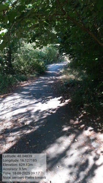 Galleria Fotografica Immagine