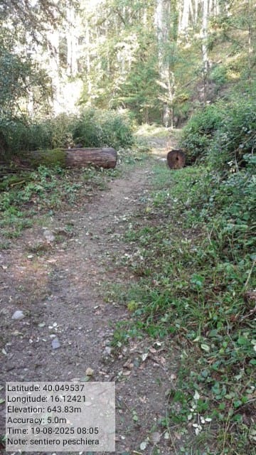 Galleria Fotografica Immagine