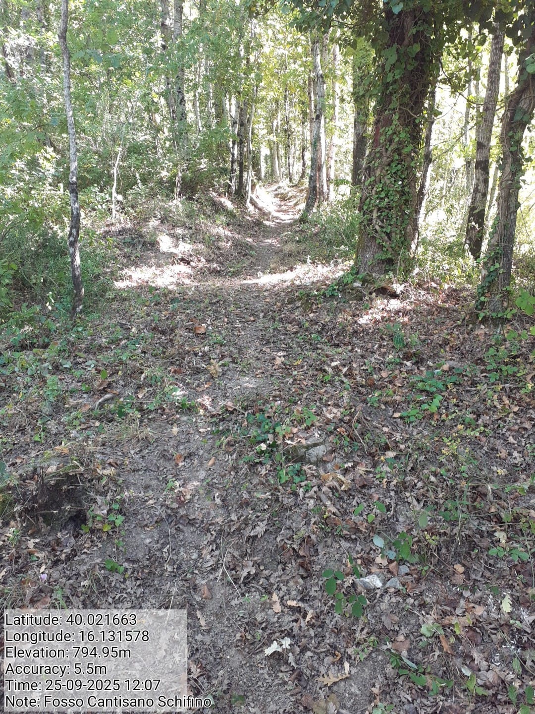 Galleria Fotografica Immagine